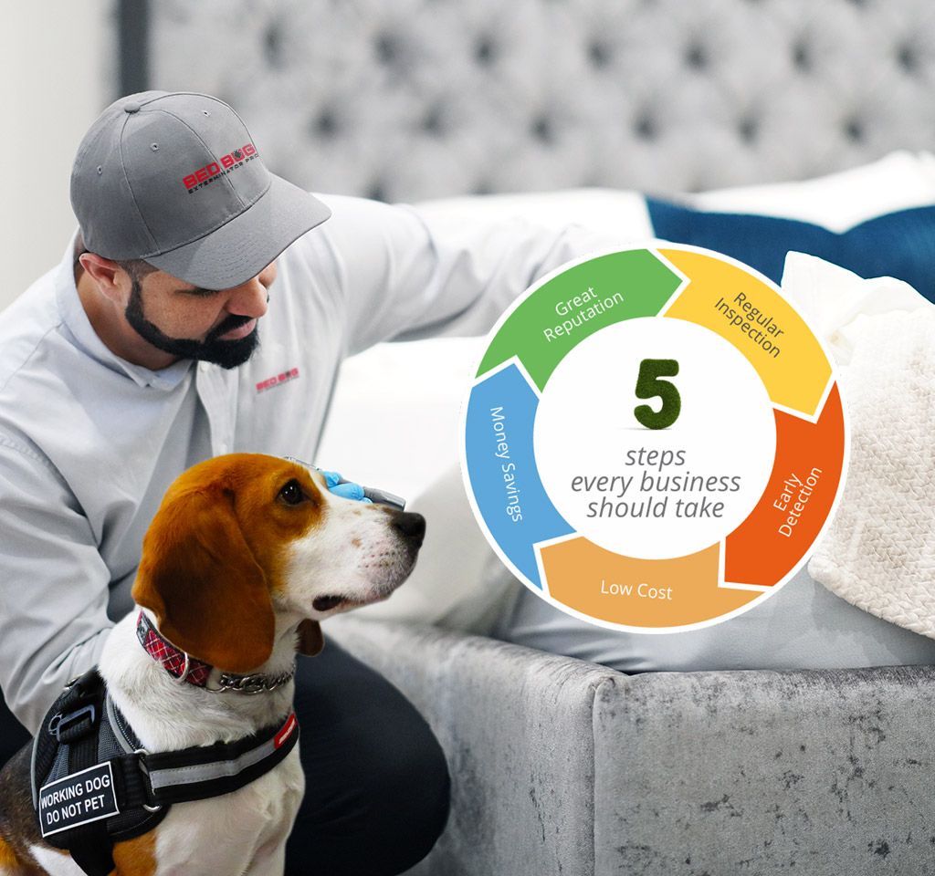 K9 bed bug prevention