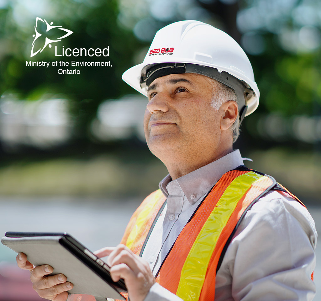 pest control for bed bugs