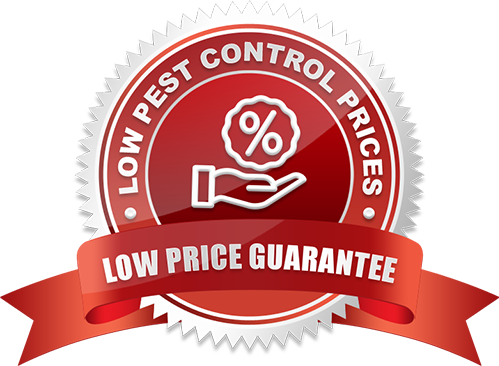 Affordable, Transparent Pricing in Ajax