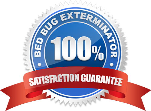100% Customer Satisfaction Guarantee Bed Bug Extermination in Brampton