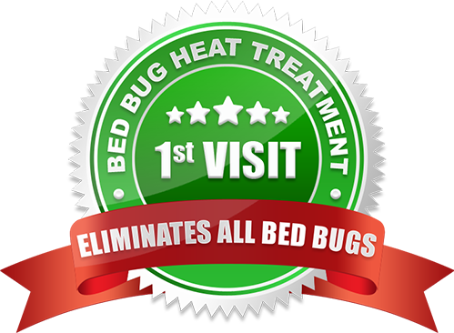 Eliminate Bed Bugs in One Visit in Brampton