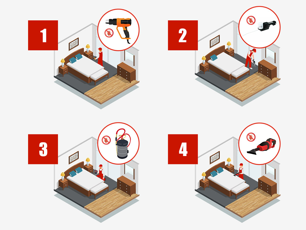 4 step commercial bed bug treatment Toronto