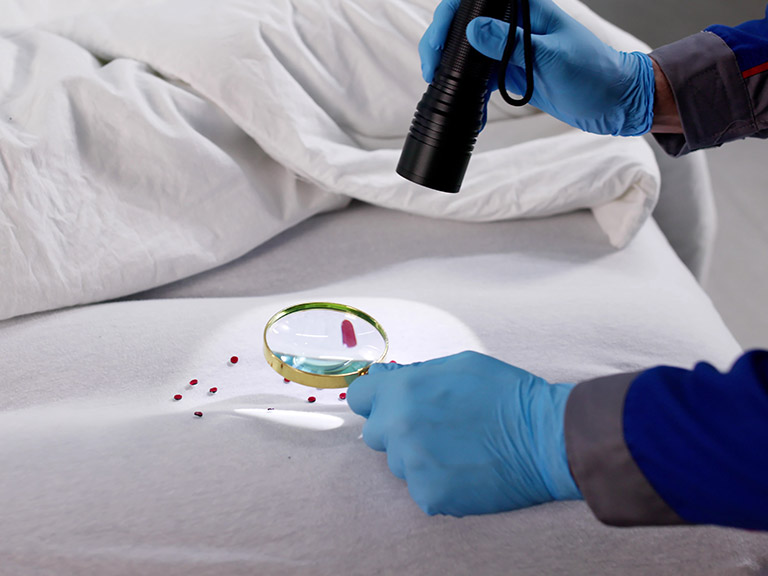 Small Blood Stains on Sheets