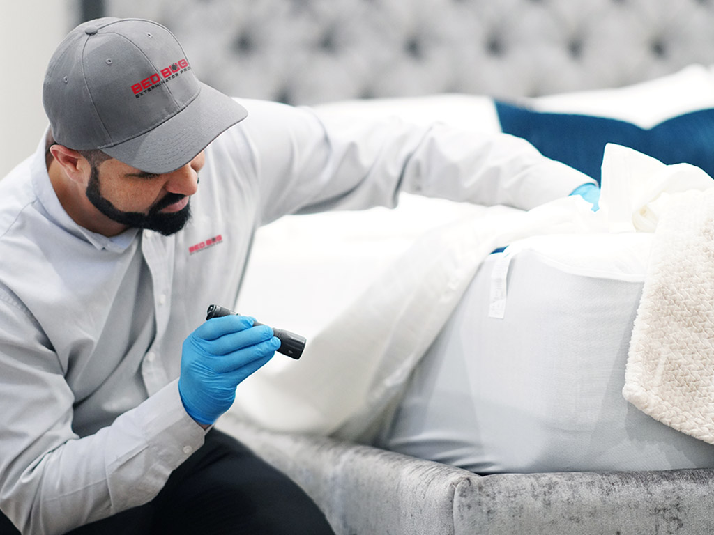 Detailed Inspection and Confirmation