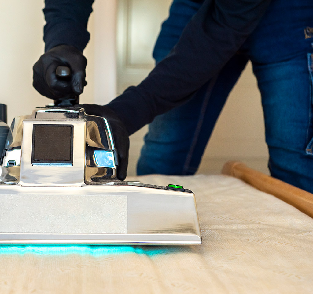 Residential & Commercial Bed Bug Control in Toronto