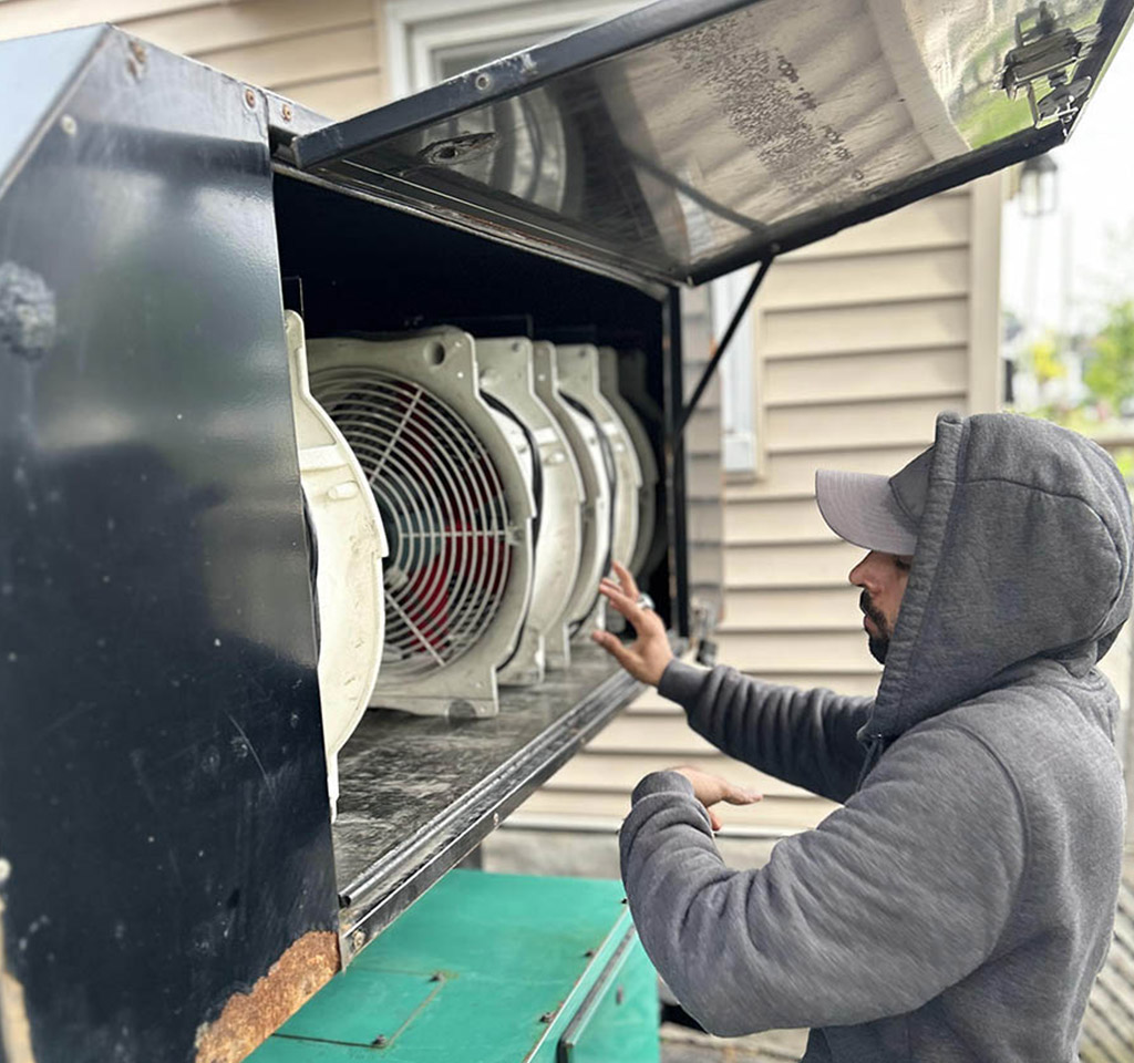 commercial and residential bed bug removal Hamilton