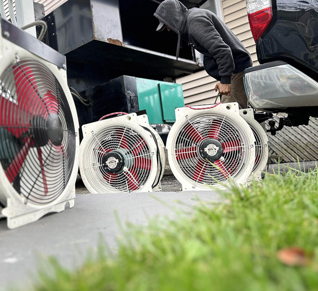 commercial bed bug heater