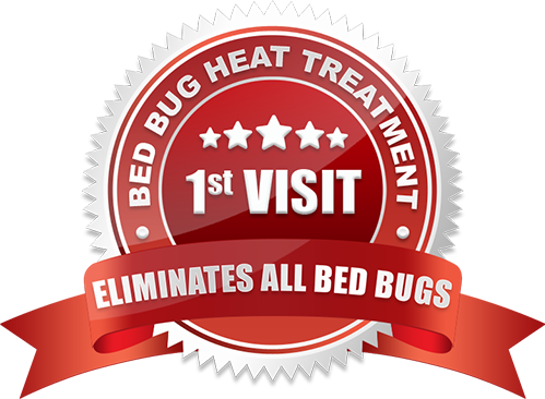 Get Rid of Bed Bugs in One Visit
