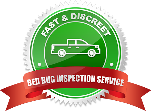 Fast & Discreet Bed Bug Inspection Service