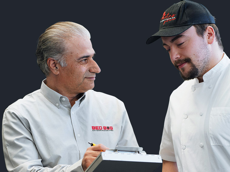 Genuine Toronto Bed Bug Inspection & Extermination Service Reviews in Toronto