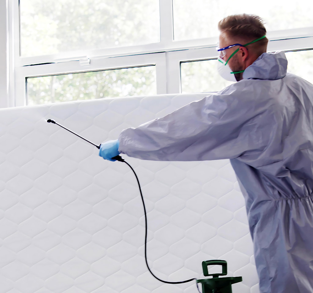 bed bug removal in Mississauga