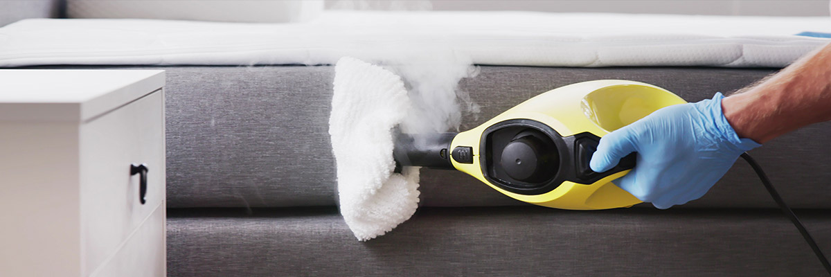 Does Heat Kill Bed Bugs Instantly